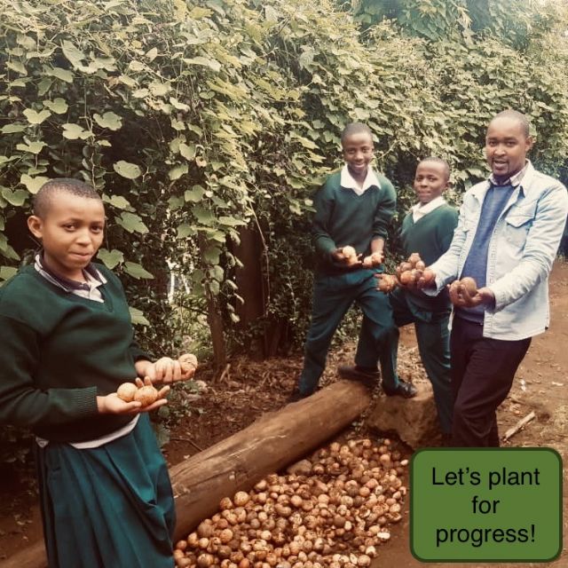 plant for progress